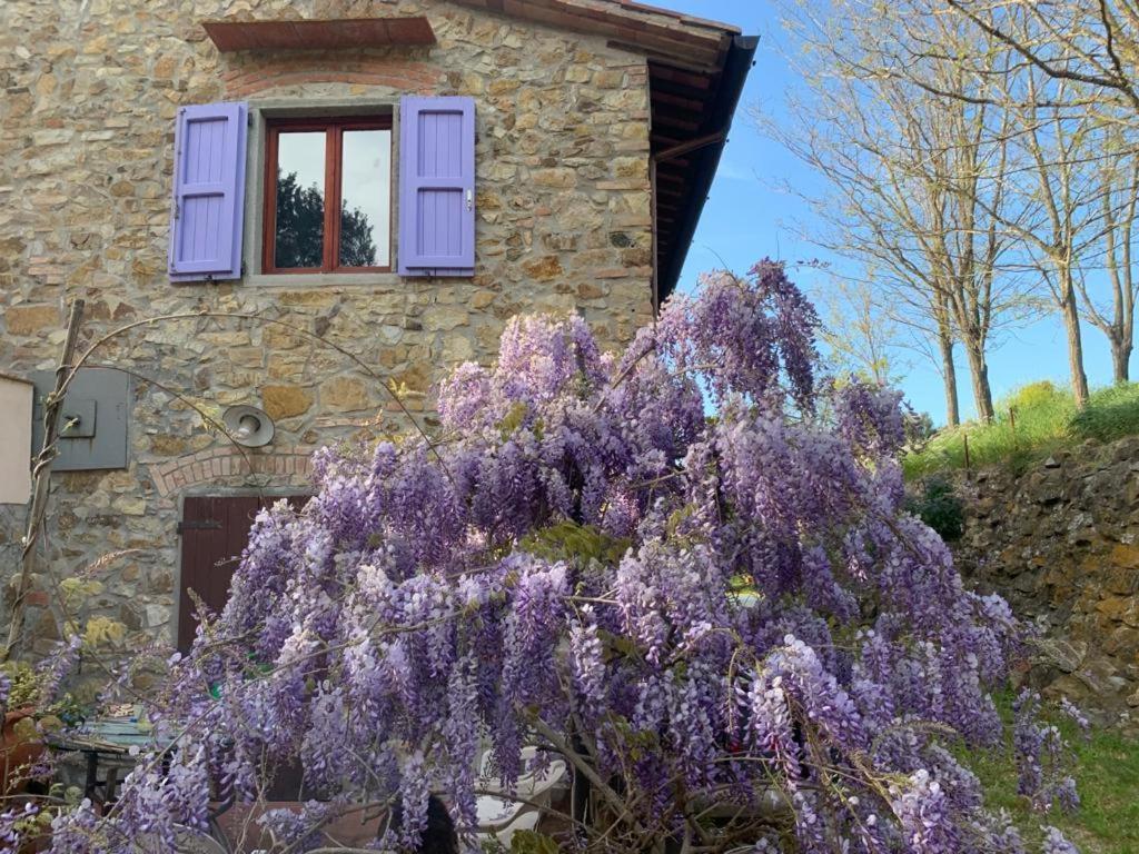 Antico Casale Il Fiorentino Montenero  외부 사진